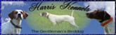 Harris Kennel - We breed for intelligence, bird finding ability, natural ability, a pleasing appearance and the desire to please. 