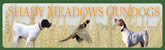 Shady Meadows Gundogs - Shady Meadows Gundogs grew out of our passion to hunt behind beautiful, well disciplined, hard working bird dogs.