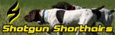 Shotgun Shorthairs - Shotgun Shorthairs is committed to raising top-quality German Shorthair Pointers with outstanding hunting and/or show ability. 