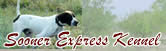 Sooner Express Kennel - Sooner Express Kennel is one of the largest breeders of Elhew Pointers in the country.