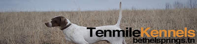 Tenmile Kennel