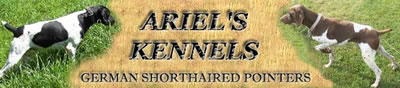 Ariels Kennel
