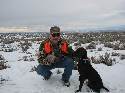 Reserve your GSP from our Summer litter
