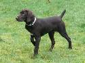 Reserve your next GSP in Idaho Now