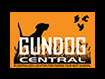 HUNTING DOGS FOR SALE - Gun dogs, Bird Dogs, Field Dogs and Sporting Dogs.