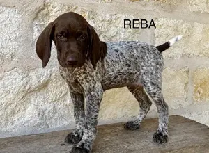 MILLIE X MAX - REBA-SARA-JOSIE