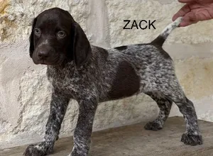 PABLO X SAGE / ZACK