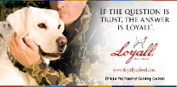 Caring for Your Senior Dog