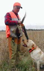 Training Your Retriever for Double Duty