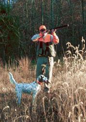 Go Slow When Introducing a Dog to Gunfire