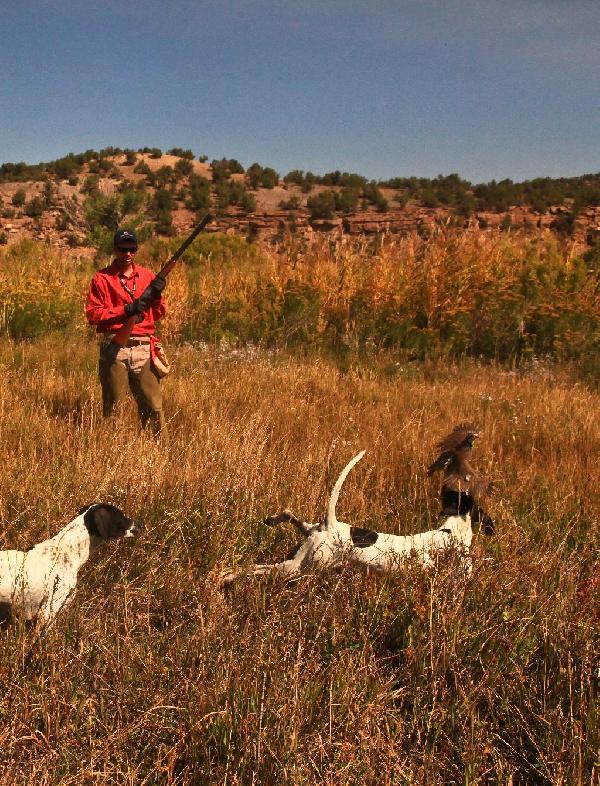 Whatever you do, dont shoot the dog - By Tom Keer