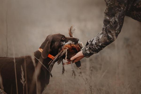 Tip #1 - Dont post all your ads at the once, spread them out over time.