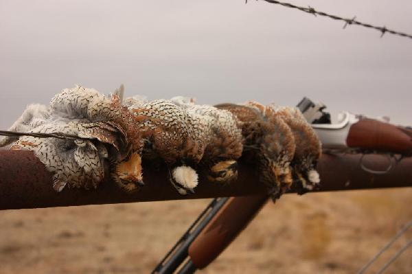 Oklahoma is more than OK