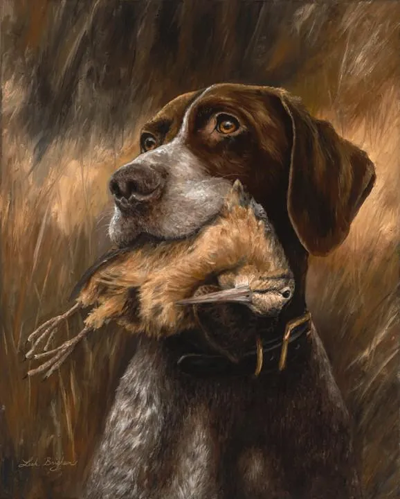 Worthless Dog? Maybe, Maybe Not