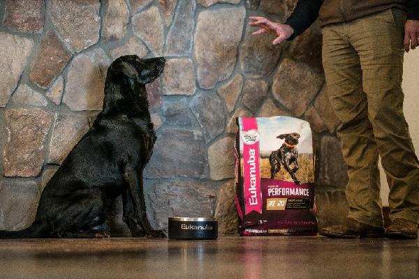 The Role of Antioxidants in Recovery