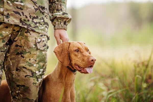 Dog Names - Male