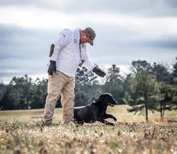 Tips for traveling with your Gun Dog