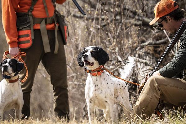 First Season Expectations