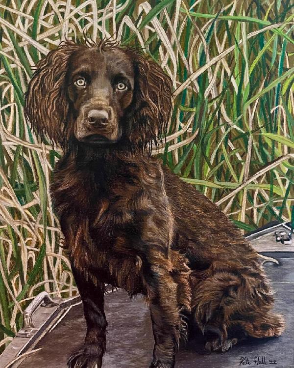 Canine Language and Understanding Your Dogs Communication