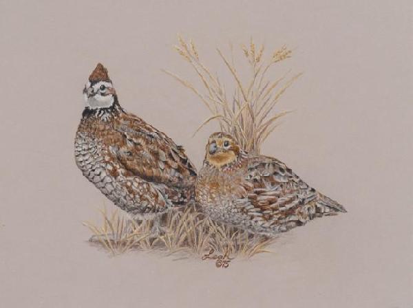 The Curmudgeons’ Christmas