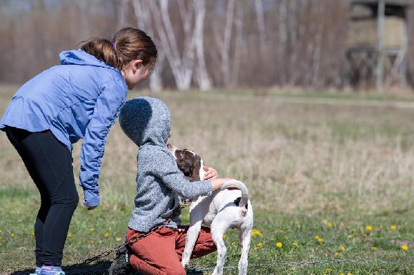 Positive Training Methods for Puppies – 4 Tips for Success