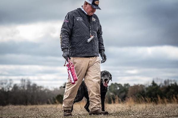 How to Help Your Dog Learn