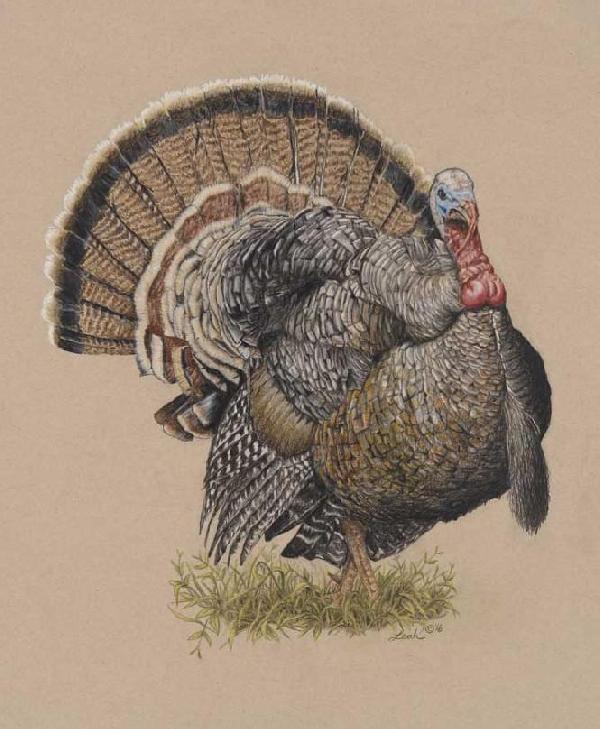 Turkey Stand