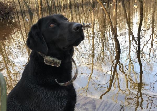 Building the Foundation at Any Age