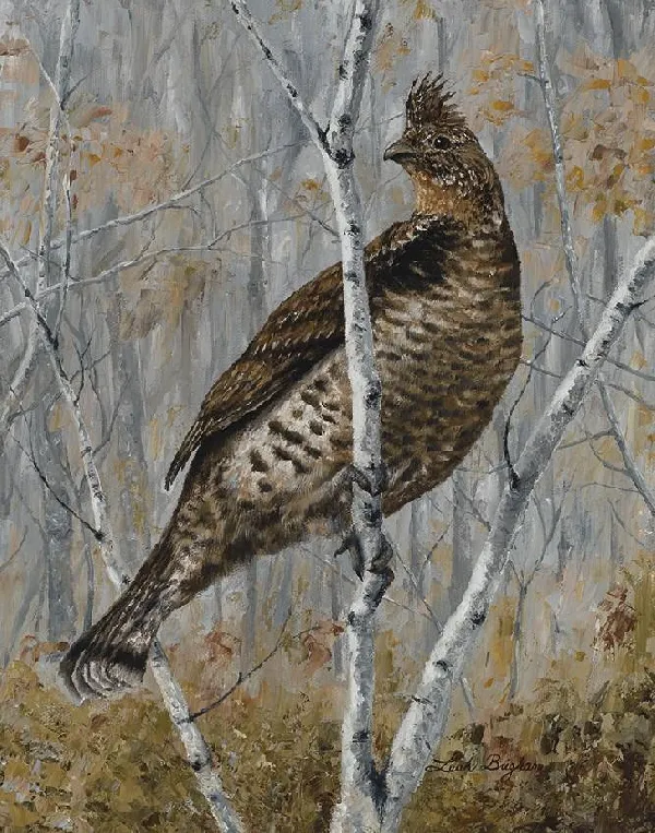 A New Grouse Hunter
