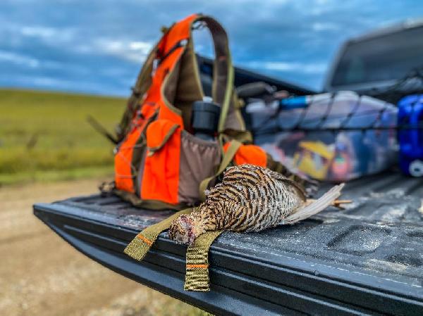 Don’t Chicken Out Of Hunting Chickens