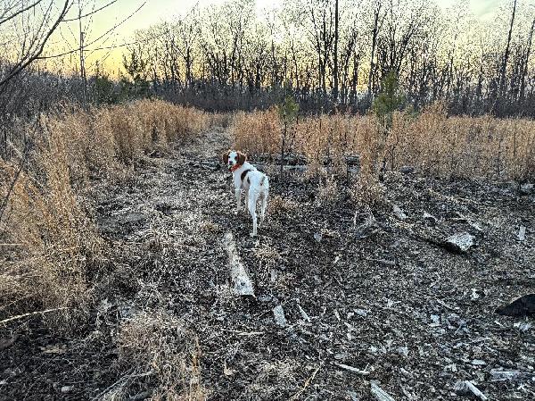 See You At The Dance