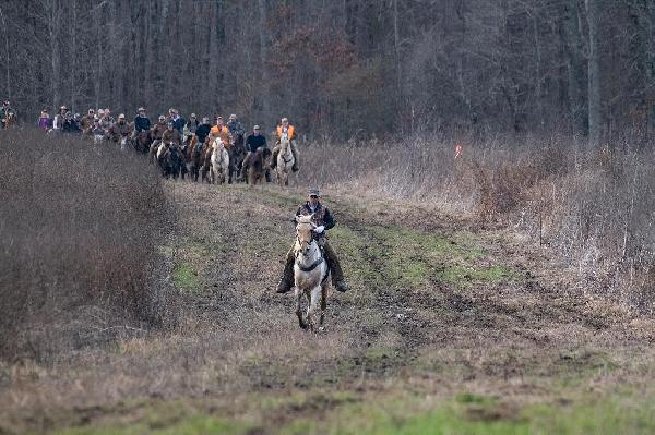 Tall Timbers: Burning Down the House