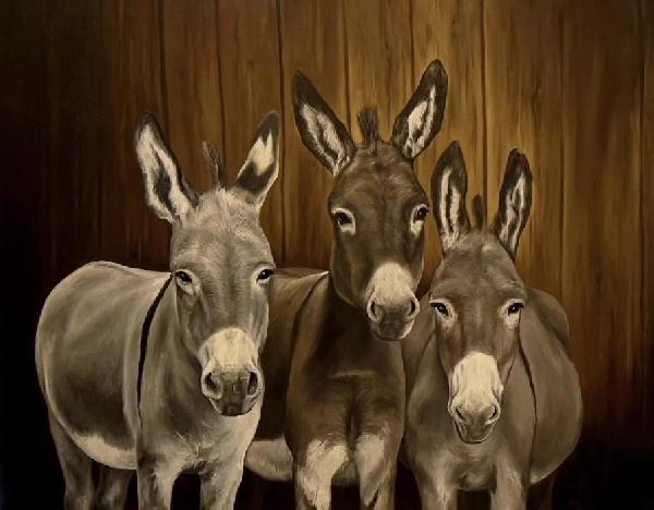 Two Men and Two Mules