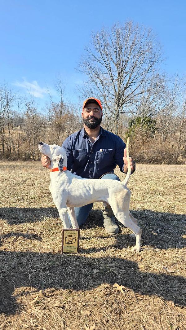 Featured Gun Dog Ad of the Day