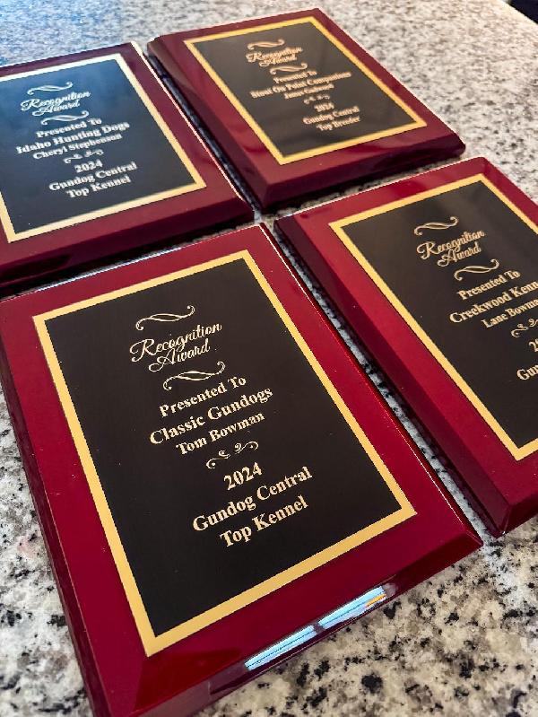 Top Kennel Awards for 2025