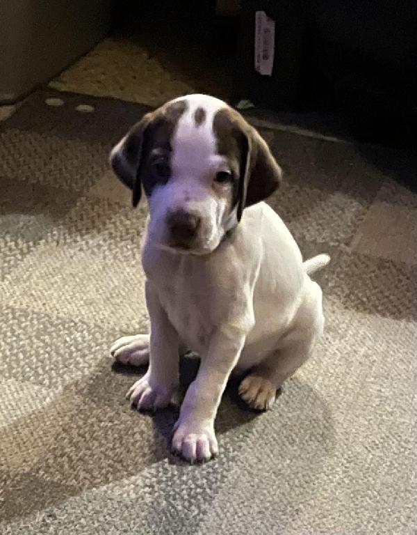 I’m a keeper is what they say.