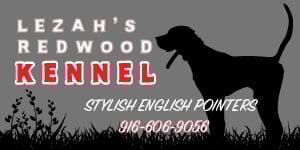Banner Ad