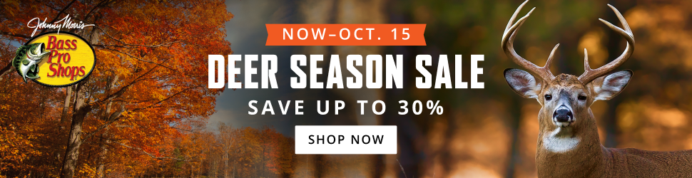 Banner Ad