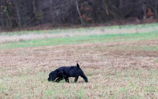 529A5724.jpg