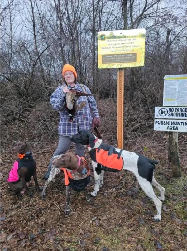 German Shorthaired Pointer