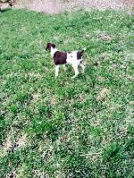 DAM AT 7 MONTHS OLD