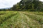 DSC_9012.JPG