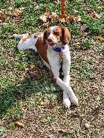 Ivy (5).jpg