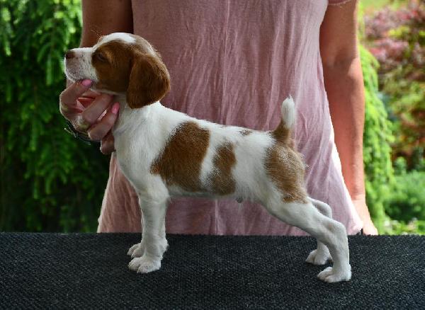 Oliver (3).JPG