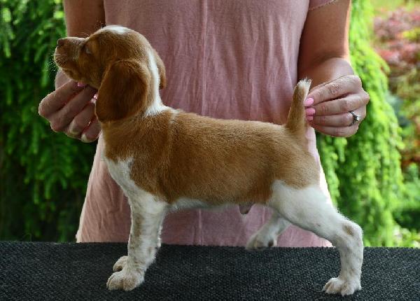 Tucker (3).JPG