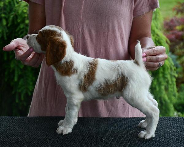 Rocky (3).JPG
