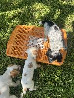 IMG_6307.JPEG