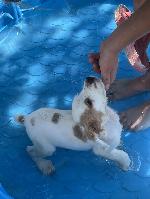 IMG_6321.JPEG