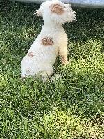 IMG_6314.JPEG