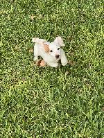 IMG_6318.JPEG